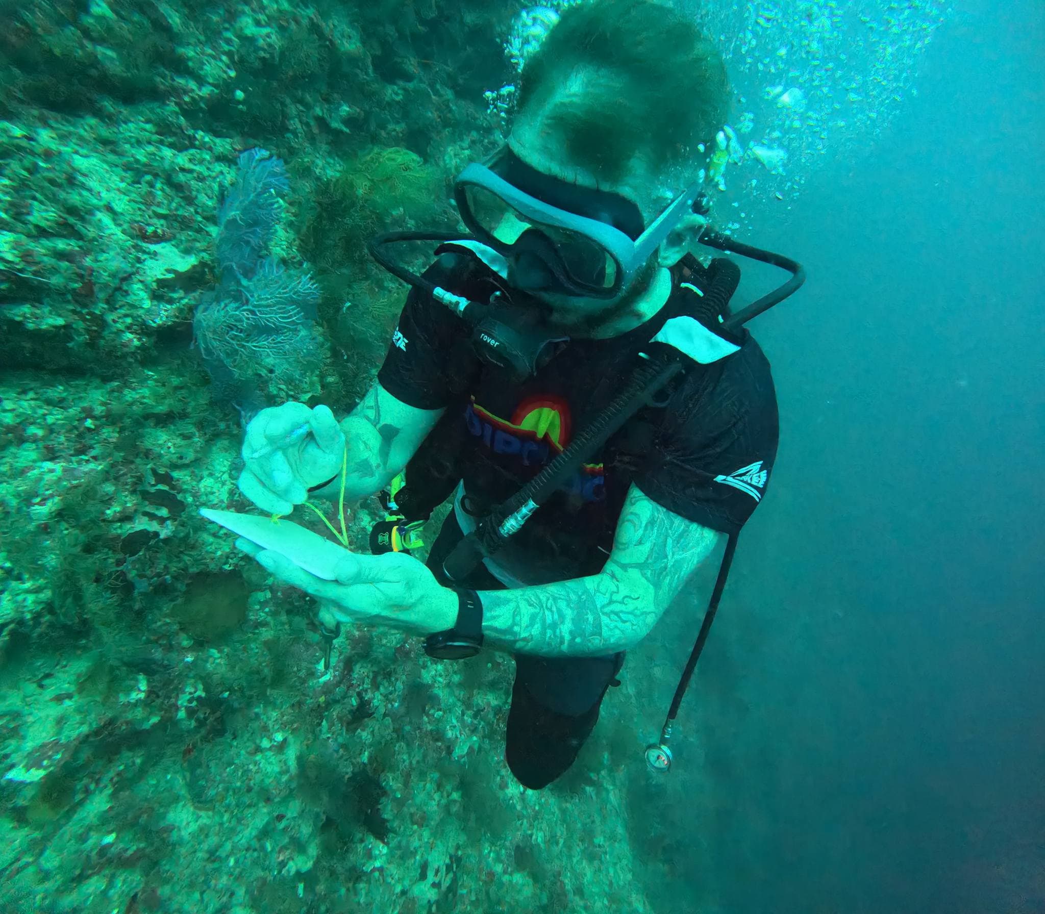 CMAS Training Process