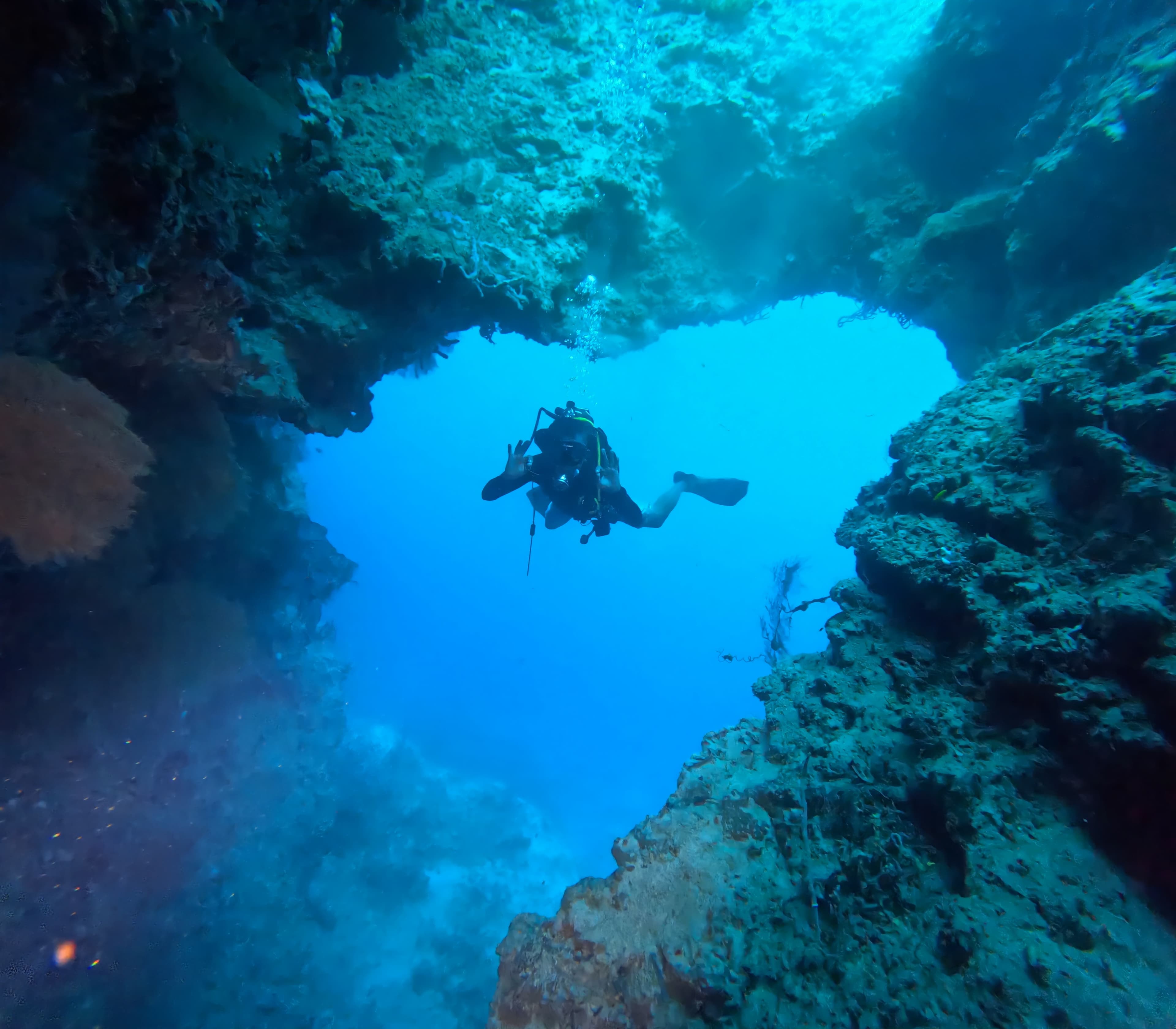 Coral garden exploration