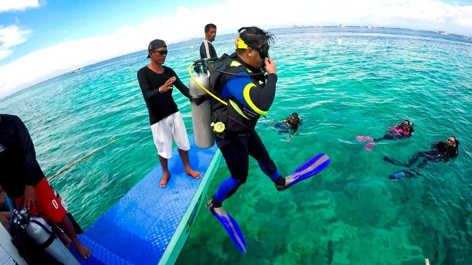 Sea turtle encounter