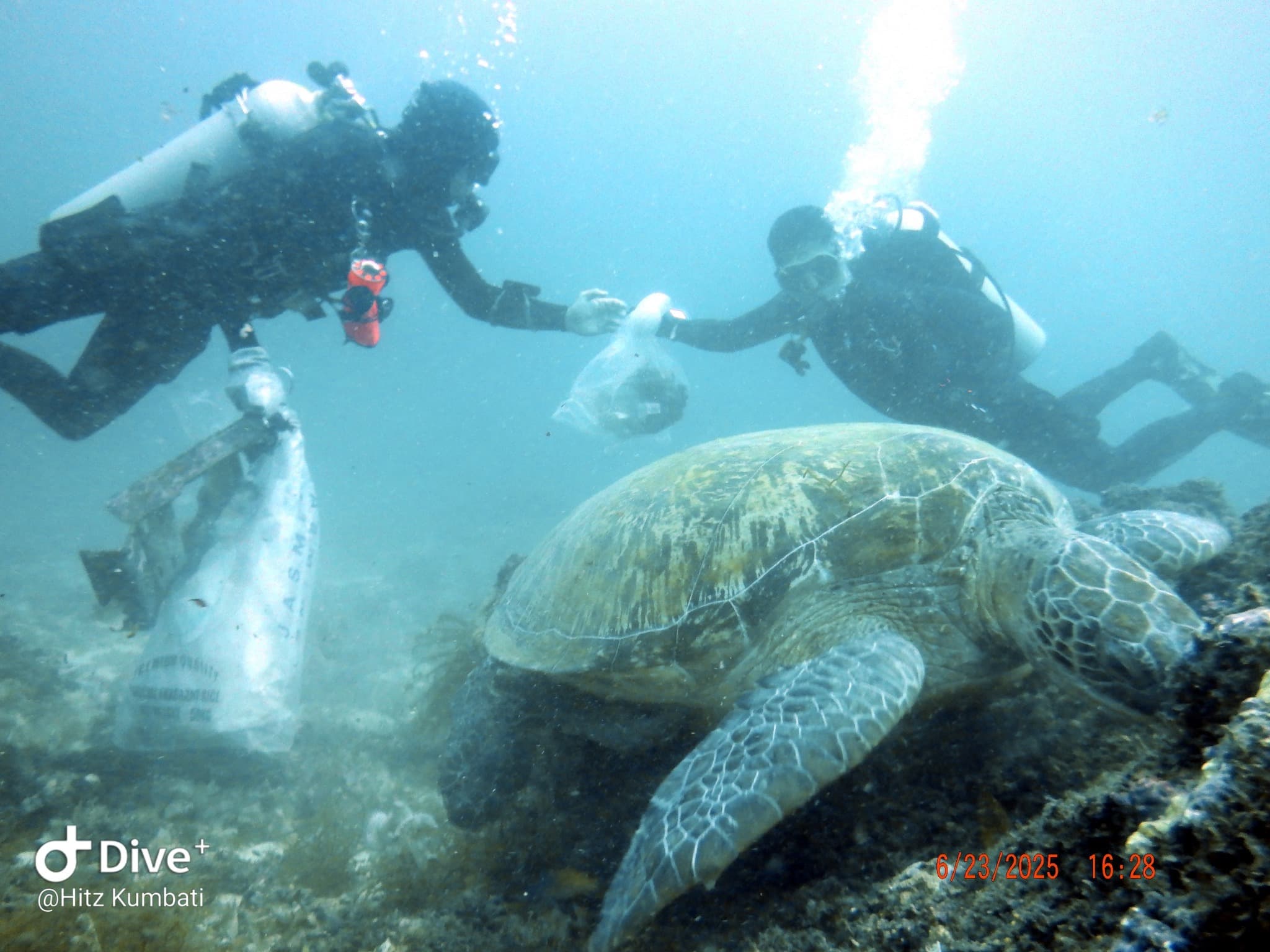 Macro photography dive