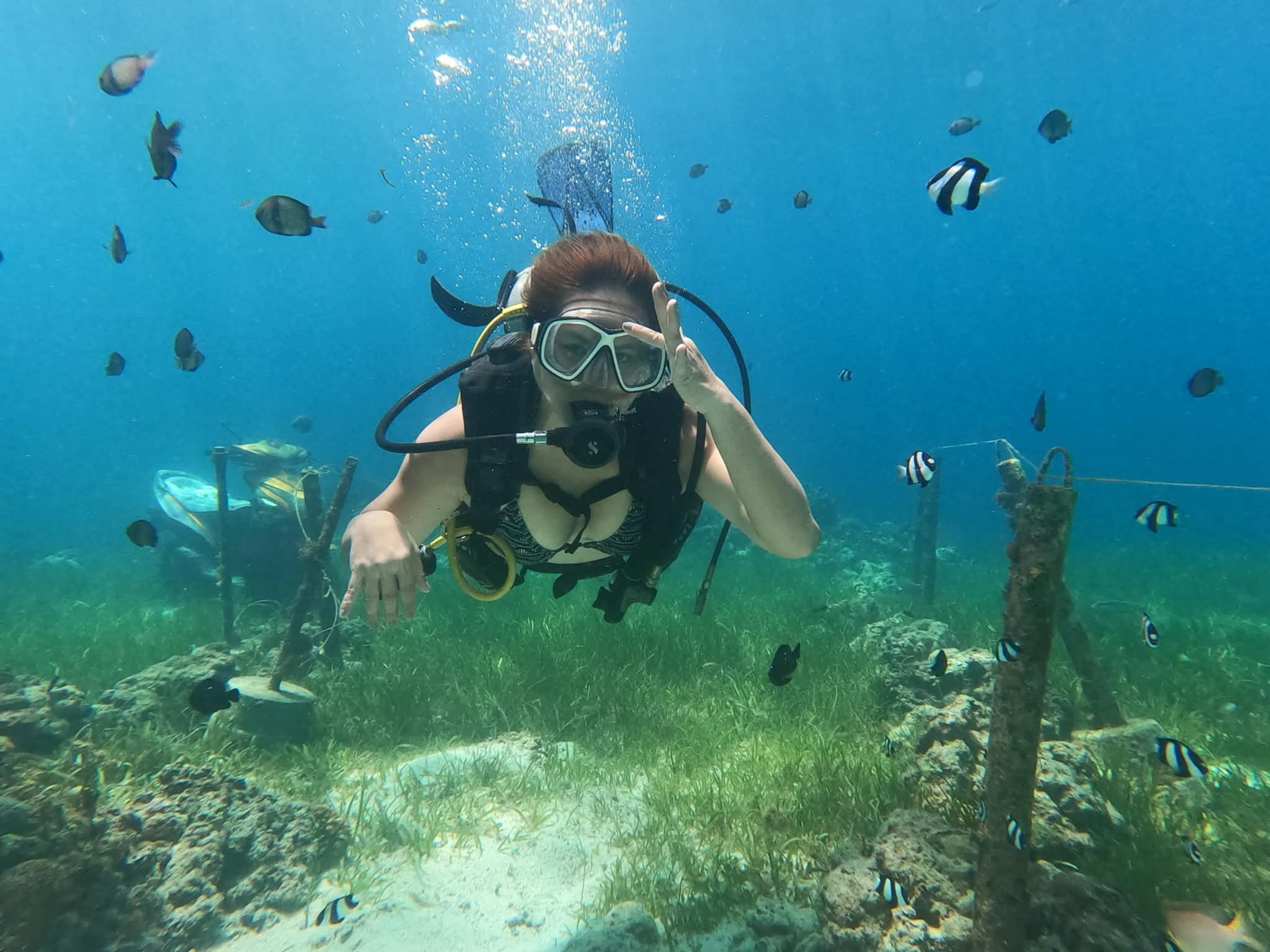 Island hopping adventure