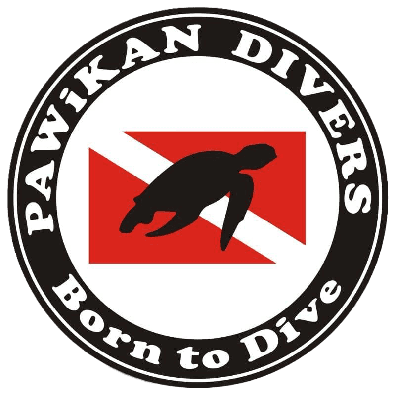 Pawikan Dive Center Logo