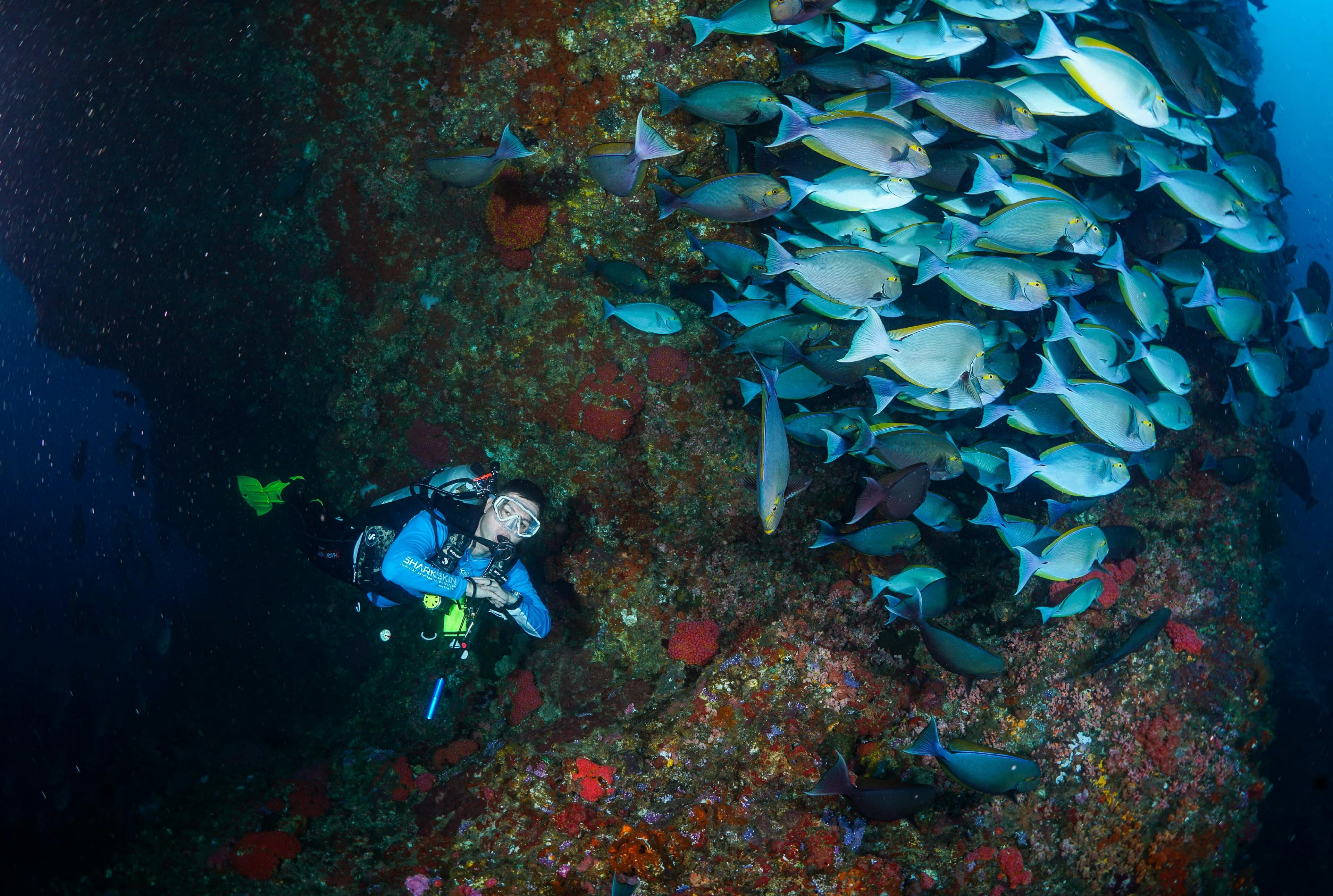 Discover Scuba Diving